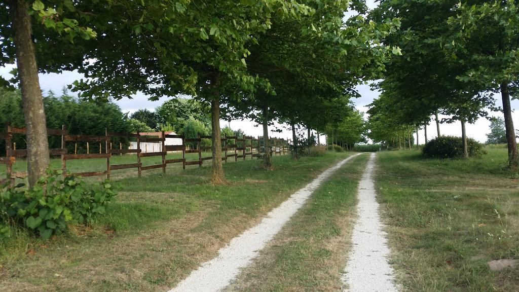 La-Gripperie-Saint-Symphorien 泰尔欧申奈旅馆酒店 外观 照片
